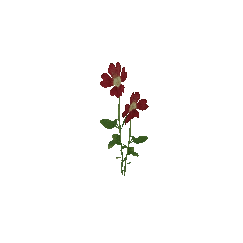 Flower 4 (Type 1)